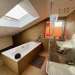 Allgaeu Ferienhaus 5 Apartments Mit Sauna,Balkon, Garten Und Privatparkplatz 布莱夏